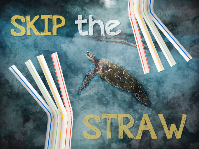 Straws Suck Sea Turtle