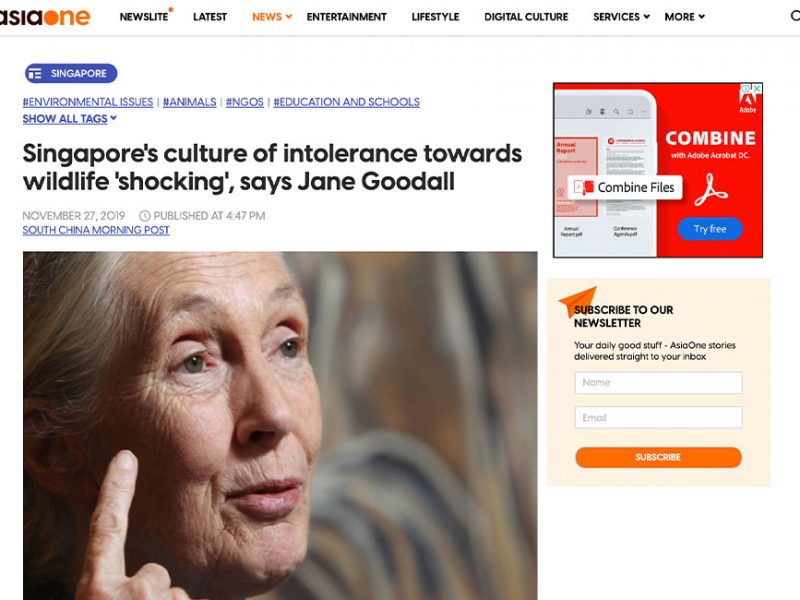 Singapore’s culture of intolerance towards wildlife ‘shocking’, says Jane Goodall