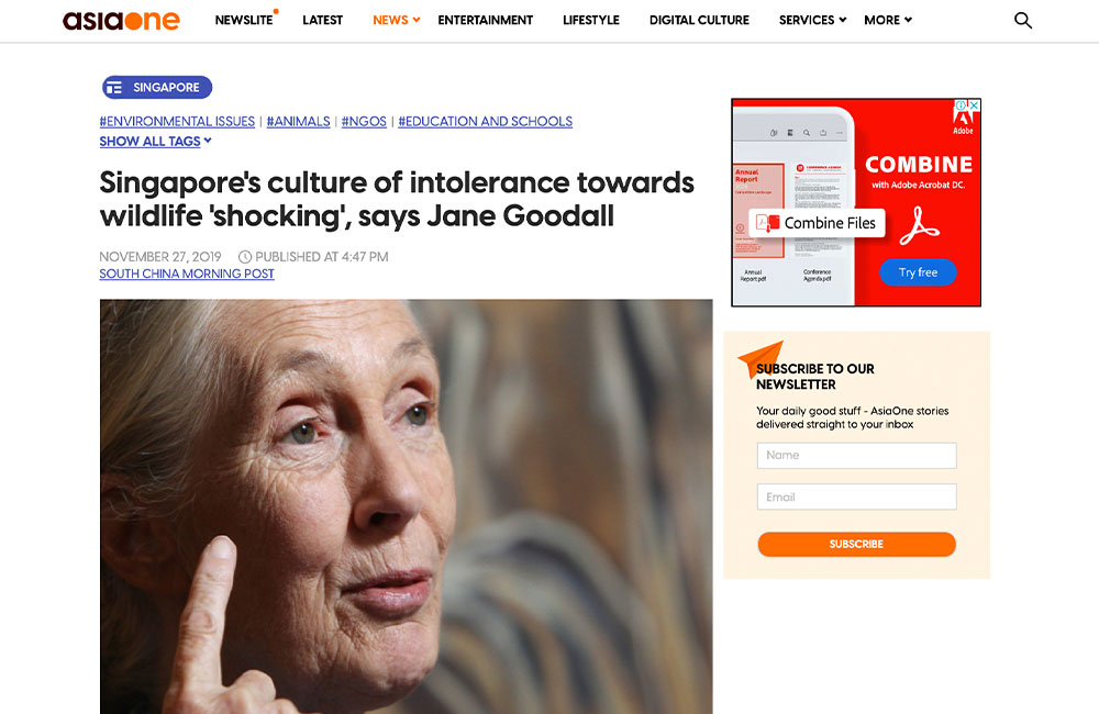 Singapore’s culture of intolerance towards wildlife ‘shocking’, says Jane Goodall