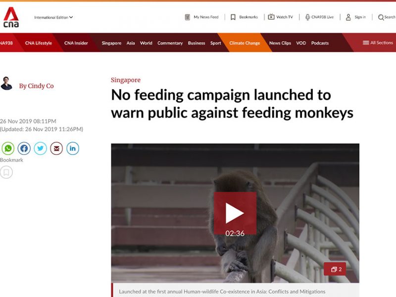 No feeding campaign launched to warn public against feeding monkeys