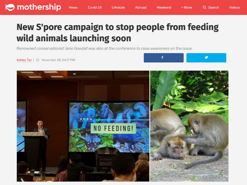 New S'pore campaign to stop people from feeding wild animals launching soon