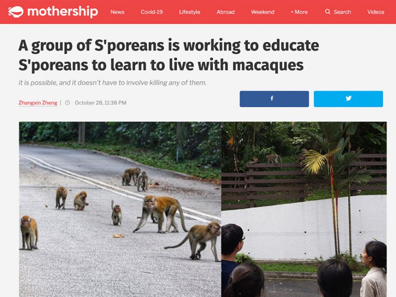 A group of S'poreans is working to educate S'poreans to learn to live with macaques