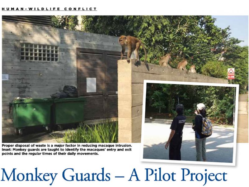 Monkey Guards – A Pilot Project