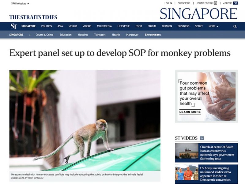 Expert panel set up to develop SOP for monkey problems